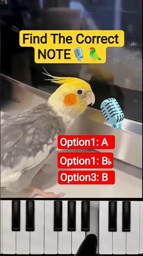 99% FAIL THIS 😱 Can You Find the Right Note?🎯 Only Genius Ears Can Find This 🎵 Test Your Pitch Sense
