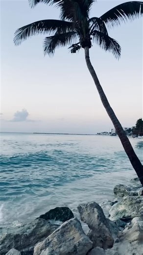 Dit jaar brengt de Sint iets bijzonders: zon, zee en strand! Van Egypte tot Curacao en de Canarische Eilanden Tijd om te ontspannen op de mooiste stranden en te genieten van zonsondergang朗 Waar zou jij je winterzon-cadeau willen openen? Wil je meer weten over deze bestemmingen? Lees dan onze nieuwe blog door op de link in onze bio te klikken!️ #sinterklaas #zonliefhebbers #vakantie #zonvakantie | Lavida Travel | Facebook