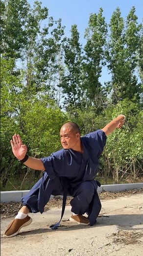 SHAOLIN BOXING MOVES || MARTIAL ARTS TRAINING #martialarts #shaolin #kungfu