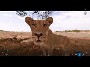 How to Download VR 360° & 180° Videos from YouTube FREE Preserve Metadata All VR Headsets and Mobile