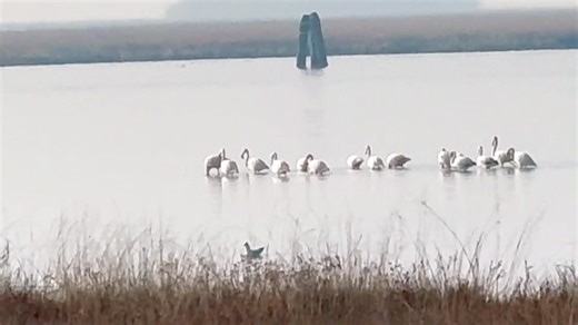 Rachel Michelle on Reels