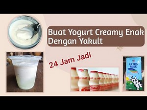 Cara Membuat Yogurt Dengan Yakult Cuma 2 Bahan | Buat Yoghurt Sendiri Di Rumah