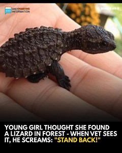 A little girl believed she’d spotted a tiny lizard in the woods — but when the vet saw it, he was stunned…🫢(Check In First comment👇) | Log Cabin