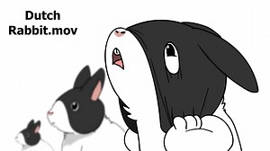 23K views · 631 reactions | DutchRabbit | NCHproductions | Facebook