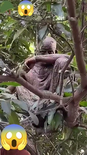 Commando mode on 🔥#commando #training #jayhind #armynagar🇮🇳 #powerfulmotivation