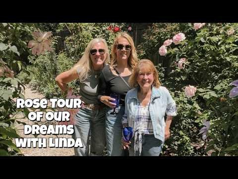 The Rose Garden Tour of our dreams with Linda Knowles