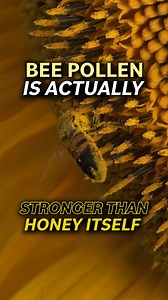 5.7K views · 65 reactions | Let’s talk about the powerhouse that is...