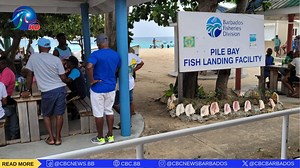 The fishing industry is alive and well in Barbados. This was evident as the Pile Bay Fisherfolk Organisation held its fun day. . President of the group, Katrina Chapman, explained that youngsters are being trained to build boats and are interested in various aspects of the industry. We’ll have more from this event in a future post. 𝗩𝗶𝘀𝗶𝘁 𝗼𝘂𝗿 𝘄𝗲𝗯𝘀𝗶𝘁𝗲 𝘄𝘄𝘄.𝗰𝗯𝗰.𝗯𝗯 𝗳𝗼𝗿 𝗺𝗼𝗿𝗲.(🔗Link in bio) 📸Patrick Murray (@murraype_83/Instagram) #Fish #Fishing #Fishing #CBCNewsBB #CBCN