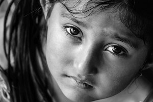 Modelos Teóricos de la Inteligencia Emocional