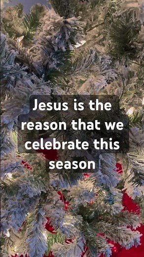 Jesus is the reason that we celebrate this season | The Reason for Christmas by Lydia Walker