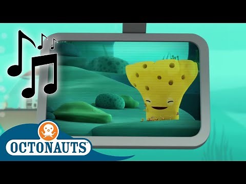 Octonauts - Sea Sponge and Others | Cartoons for Kids | Creature Reports 🎵