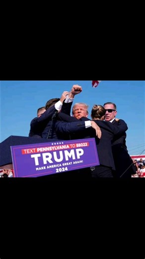 David Hamilton on TikTok