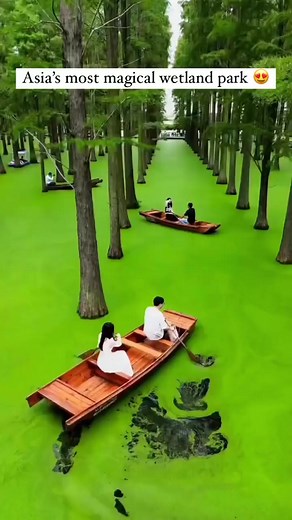 29K views · 1.5K reactions | China  | The nature book | Facebook