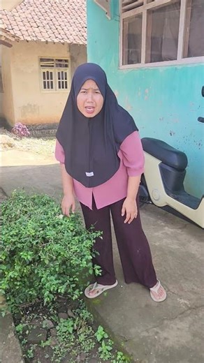 Anjing naik ayam#videoshort #comedy #funny