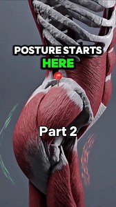 2M views · 33K reactions | Been sitting too long? Try this one move to release tight hips, fix your pelvic tilt, and reset your posture.This is Part 2—check out Part 1 on my page if you missed it!Tag a friend who needs this after a long day at the desk. #PostureFix #HipFlexorRelief #PelvicAlignment #DeskJobRecovery #StretchToReset #psoas | PostureStrong | Facebook