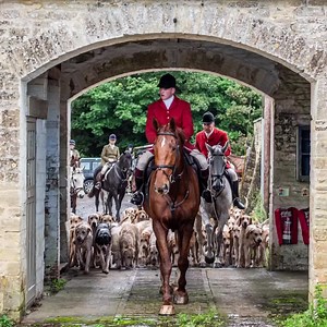 27K views · 1.7K reactions | GLORIOUS MOMENTS FROM TRAIL HUNTING MEETS ACROSS THE UK IN NOVEMBER….. Cover Photograph - The Vale Of White Horse Foxhounds by Daniel Hague Photography - Countryside, Events and Sports Photographer The Quorn Hunt The Belvoir Hunt The Beaufort Hunt Vale of Lune Harriers #pytchleywithwoodlandhunt #eastcornwallhunt #cotswoldvalefarmers | The Equestrian Notice Board | Facebook