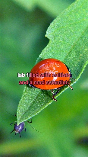 This game merges Doom-like combat with rubberhose animation—what a wild ride!