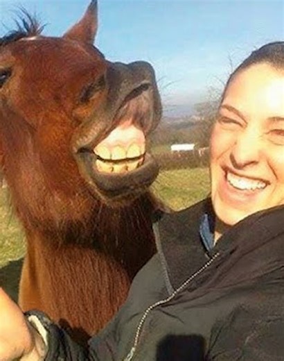 130K views · 3.1K reactions | 25 Funny Actions Of Animals Flirting With Humans That Make Everyone Laugh 老vs | Mikecrack - Fans - Legend of Knight | Facebook