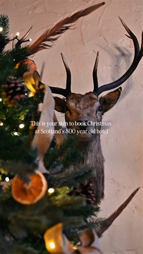 Celebrate 800 years of Christmas at Maryculter House, Scotland’s most historic hotel🎄 Gather where centuries of traditions have unfolded before you, where our historic house will be pulling out all the stops as it transforms into something truly magical. From delicious Festive Afternoon Tea, buzzing party nights, and traditional dinners to the ULTIMATE Festive Staycation, we’re ready to make Christmas 2025 unforgettable. Discover our full festive experience on our website. #scottishhistory #his