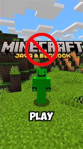 Minecraft Is Adding AGE VERIFICATION?!