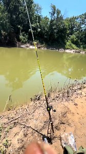 Alligator gar season is approaching. Here’s a tip! #alligatorgarfishing #reels #fishing #houstonfishing #fishingspots #fishinglocations #riverfishing | D. Armstrongfishing