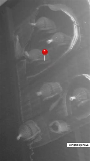 #shembeunyazilwezulu #MrHlomuka #life bongani ujehova ekukhumbule mihla namalanga cela inhliziyo emhlophe eyophila 🚂☀️🌙🌈⚡