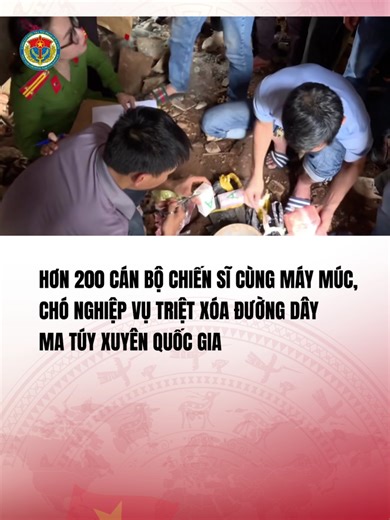 Triệt phá đường dây ma túy xuyên quốc gia tại Đắk Lắk