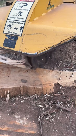 The Veteran Tree Stump Removal on Reels
