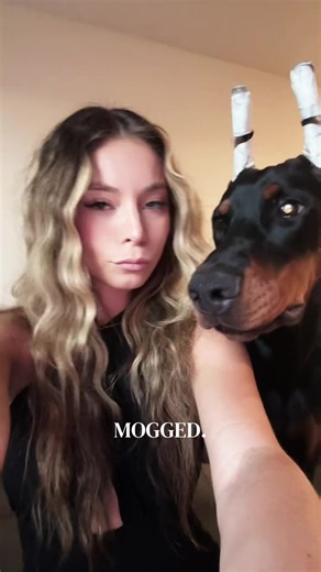 Doberman Mogging: Your Dog Can't Compare
