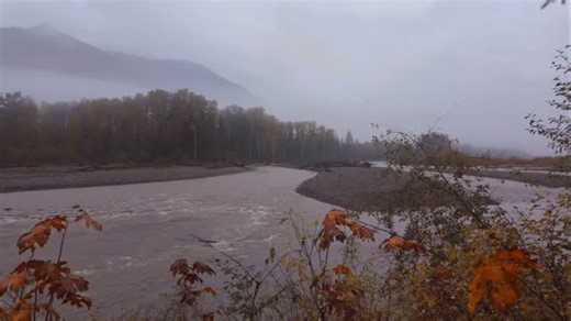 November in the Gifford Pinchot National Forest brings its own kind of peace. #discoverlewiscounty #fall #river #mountain #peace | Discover Lewis County