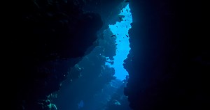 Scientists Find A Deep Sea Predator That Is Designed For Killing