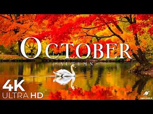 October 4K 🍁 A Journey Through Fall Foliage | Crimson Forests & Golden Autumn Landscapes