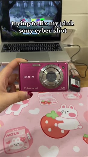 kaileyʕ•ᴥ•ʔ (@kaileyoooos) - Pink Sony Cyber Shot Camera Troubleshooting Guide
