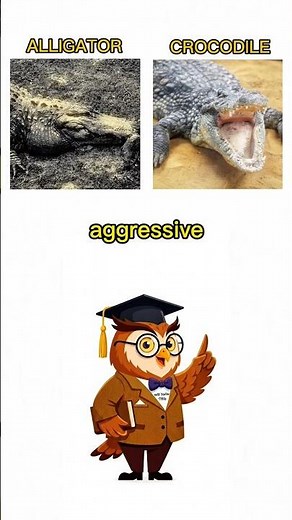 Alligator vs Crocodile: The 1 Dead Giveaway 🐊