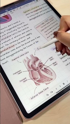 Escribe Bonito en tu iPad ✨ | ¡Tips para Letra Perfecta a Mano!