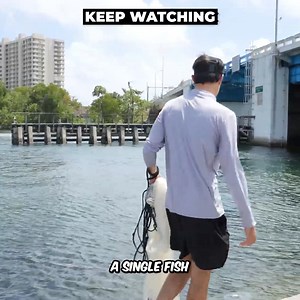 EPIC Aquarium Transformation | The Fish Guys