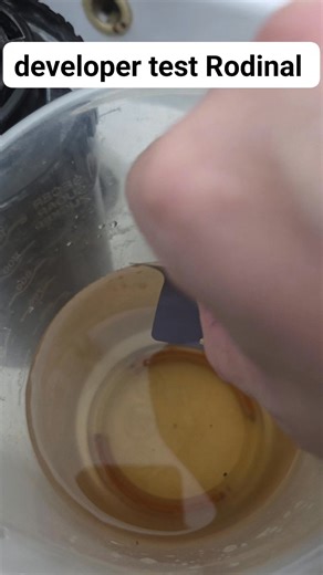 Vanea Auzeac | When you aren't sure about the developer is in parameters #35mmfilm #filmprocess #rodinal #analogphotography | Instagram