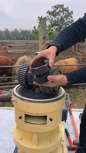 9.1K views · 82 reactions | Hands-on demonstration in Africa. If you'd like to use this machine, it's simple and efficient. Welcome to watch! #FeedPelletMill #PelletMill #Agriculture #DoroPelletMill | New Tecnology | Facebook
