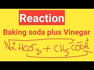 NaHCO3(Baking soda)+CH3COOH(Vinegar) Reaction||Sodium bicarbonate plus Acetic acid Reaction