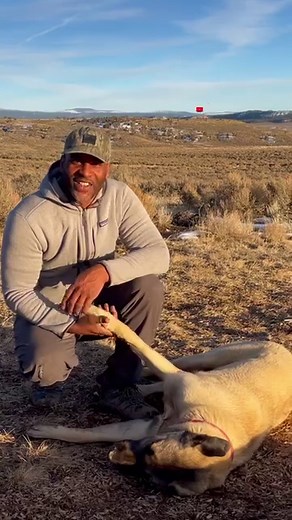 22K views · 1.1K reactions | Please support my husband’s new video! He just got a new camera today and he’s very excited to make content for y’all. You know where to go #kangal #doghouse #offgriddogs #homesteaddogs #offgridlife | Offgrid Homestead Fam | Facebook