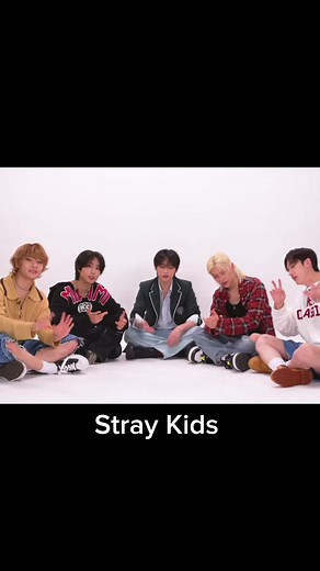 SKZ Kitten Interview Fun Moments