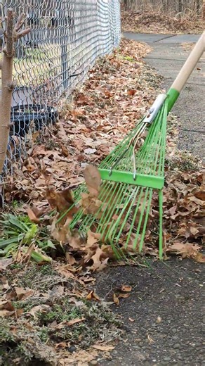 Spring garden clean up #lanct #connecticut #springvibes