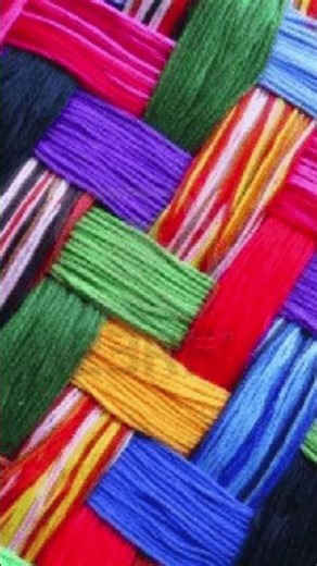 High Efficiency Tray Dryer System | Precision Engineered by Texcare Instrument Limited