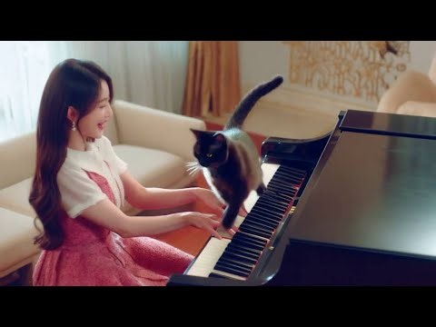 AIが考えた『ピアノを弾くネコ』 #ai失敗例 #ai動画 #ai生成