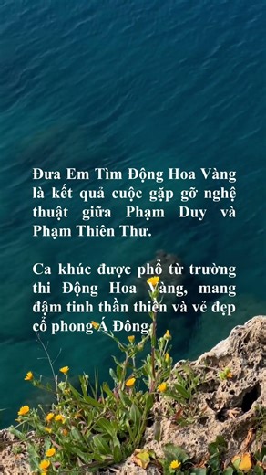 Đưa em tìm động hoa vàng #shorts #nhactrutinh #nhachay