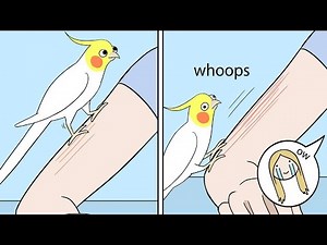 Funny Comics With Parrot Thought Twist #9 | Parrot Comic Dub