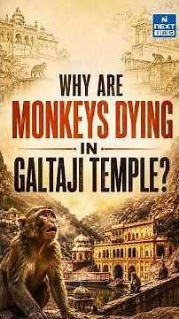 Why Are Jaipur's Monkeys Getting a Skin Disease? | Hyperkeratosis Explained | NEXT IAS