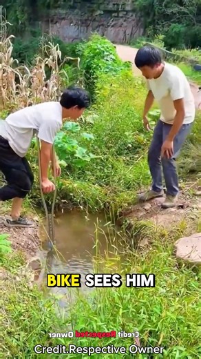 Human Bridge Hero ❤️🪨 | The Planet Show