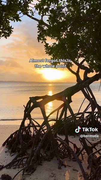 Experience the Best Summer Activities in Bermuda