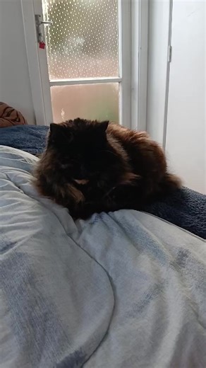 Plasma Update (@plasma.update)’s videos with original sound - Plasma Update